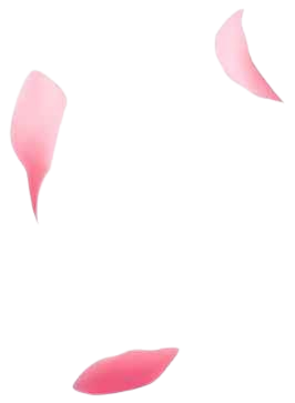 petal