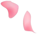 petal